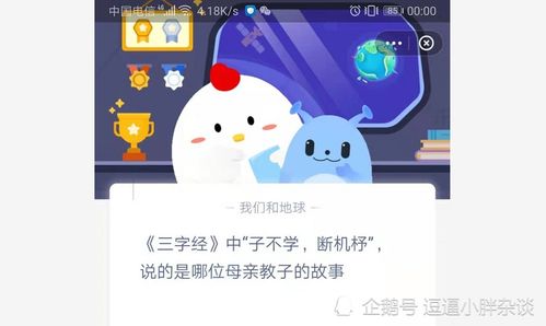子不学，子不学,断机杼