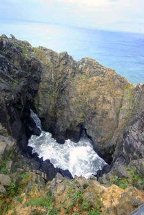仙人井，仙人井风景区介绍