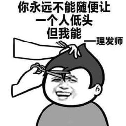 有道理表情包，有道理表情包gif
