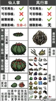 饥荒高脚鸟蛋食谱