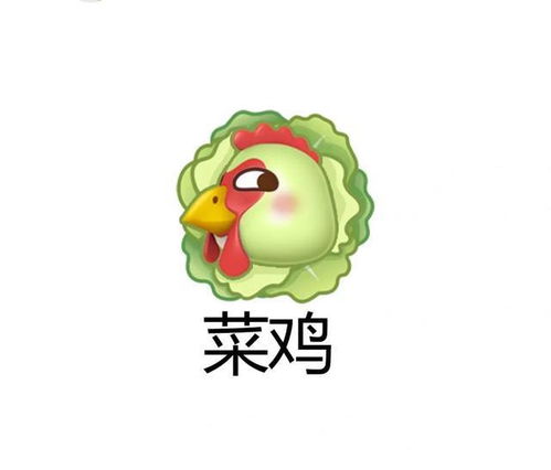 小趴菜是什么意思