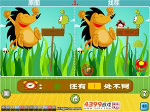 四宫格的豆娃是什么