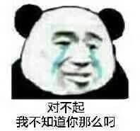 你爹来了那个猫叫什么