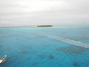 海一，海一云商