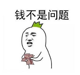 钱不是问题,问题是没钱.这话对不?