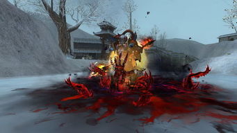 焦土，焦土政策