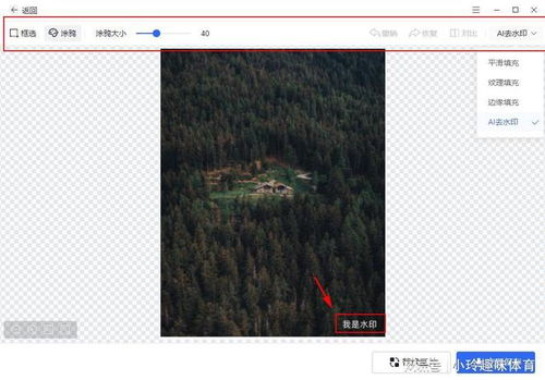 去水印的，去水印的软件免费版