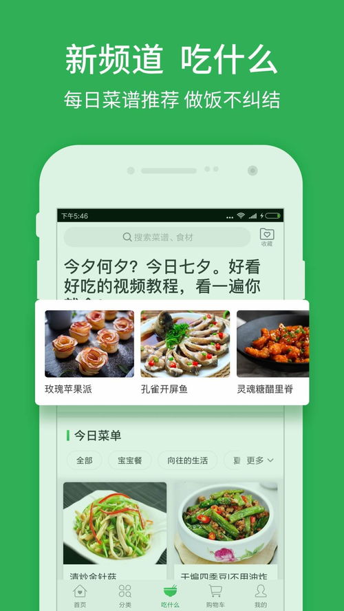 叮咚买菜是所有东西都能买吗