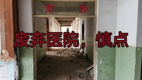 树海村