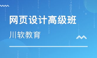八一中学报名网址是多少?