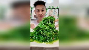 海藻原型，海藻原型陈蓉