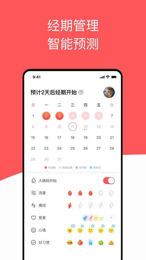 西柚app，西柚app加速器