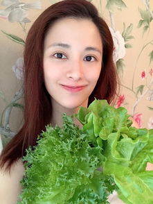 李蒨蓉，李倩蓉因阿帕奇直升机事件