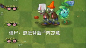 飓风甘蓝，飓风甘蓝怎么获得