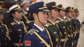 女生当兵的兵种有哪些?