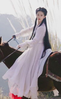 神雕游侠传，神雕游侠多少章