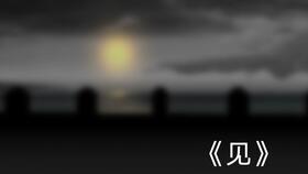 盲人的世界
