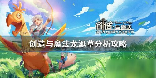 “创造”是什么意思?