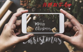 怎么拍照提取文字