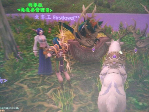 魔兽达纳苏斯要怎么去?