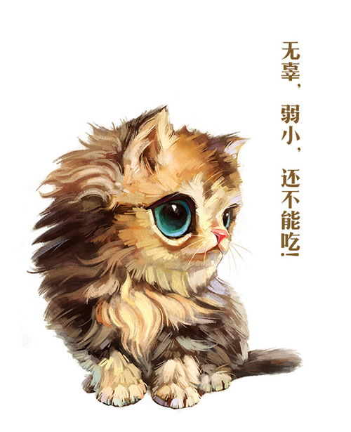 合集，合集英文怎么说
