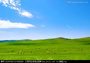 蓝天白云绿草地，蓝天白云绿草地下一句话应该怎么说呢谢谢