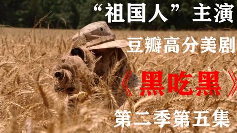 黑吃黑第五季出了几集