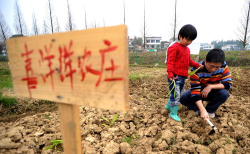 现实版开心农场，现实版开心农场方案