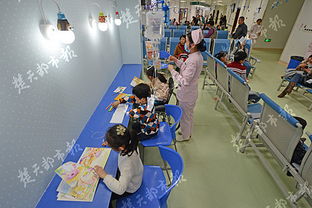 孝感市第一高级中学的网事