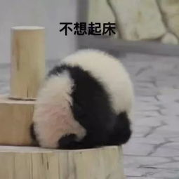 熊猫压图，熊猫图片压缩网站