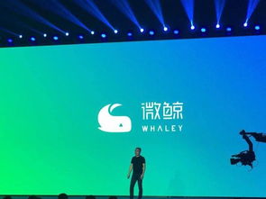 whvley是什么牌子