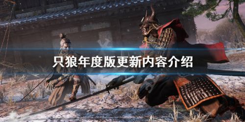 只狼1.08更新了什么