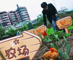 “认养农业”为什么被称为现实版的开心农场?