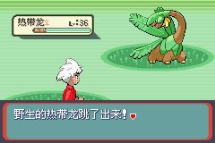 口袋妖怪蛇纹木，口袋妖怪蛇纹木金手指