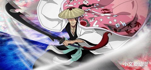 <死神>里京乐春水斩魄刀的卍解是什么?有什么效果?