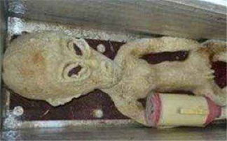 电死外星人的质疑处理结果