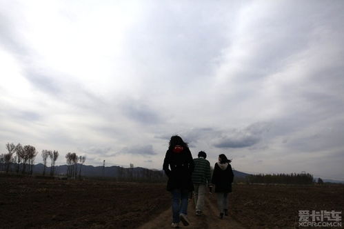 高旅，高旅客运集团
