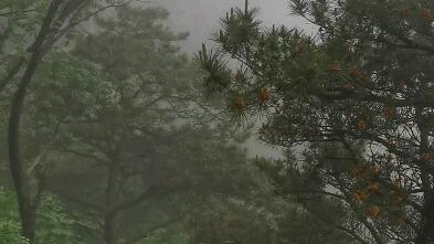 釜山行剧情,要详细的