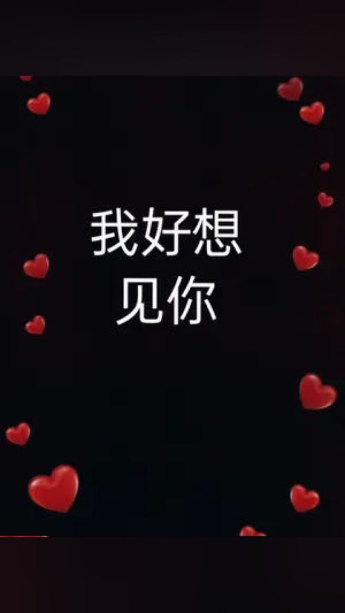 现在好想见你，现在好想见你歌词