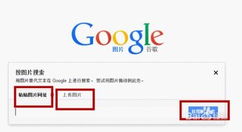 如何使用谷歌以图搜图?谷歌识图镜像