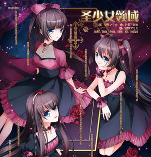 求蔷薇少女主题曲圣少女领域歌词(日文加中文加罗马拼音)