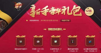 新手礼包领取，新手礼包领取白金会员