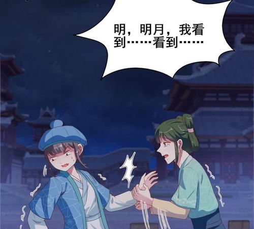 阴阳泷夜姬，阴阳泷夜姬退场