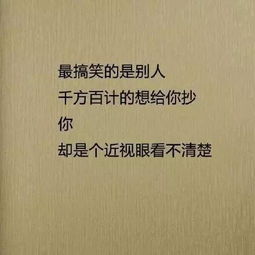 河池网的河池网发展模式