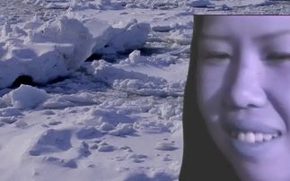 噔噔咚是什么梗