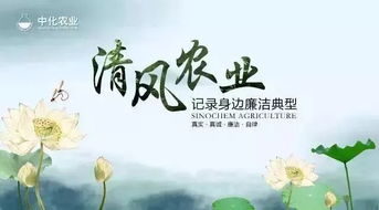 什么的清风,填恰当的词语