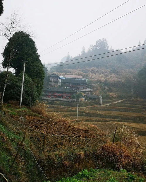 山民