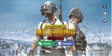 刺激战场如何更新国际服