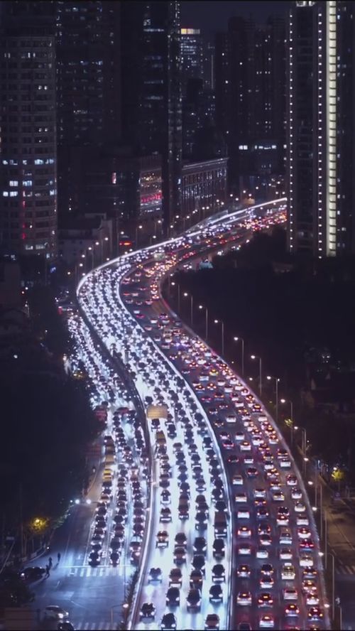 一个白人领着一群白人的游戏叫什么