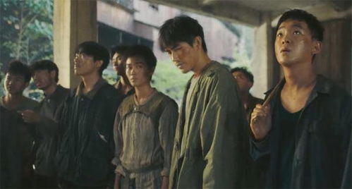 淘金电视剧，淘金电视剧在线观看免费完整版